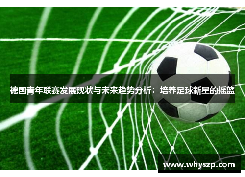 德国青年联赛发展现状与未来趋势分析：培养足球新星的摇篮